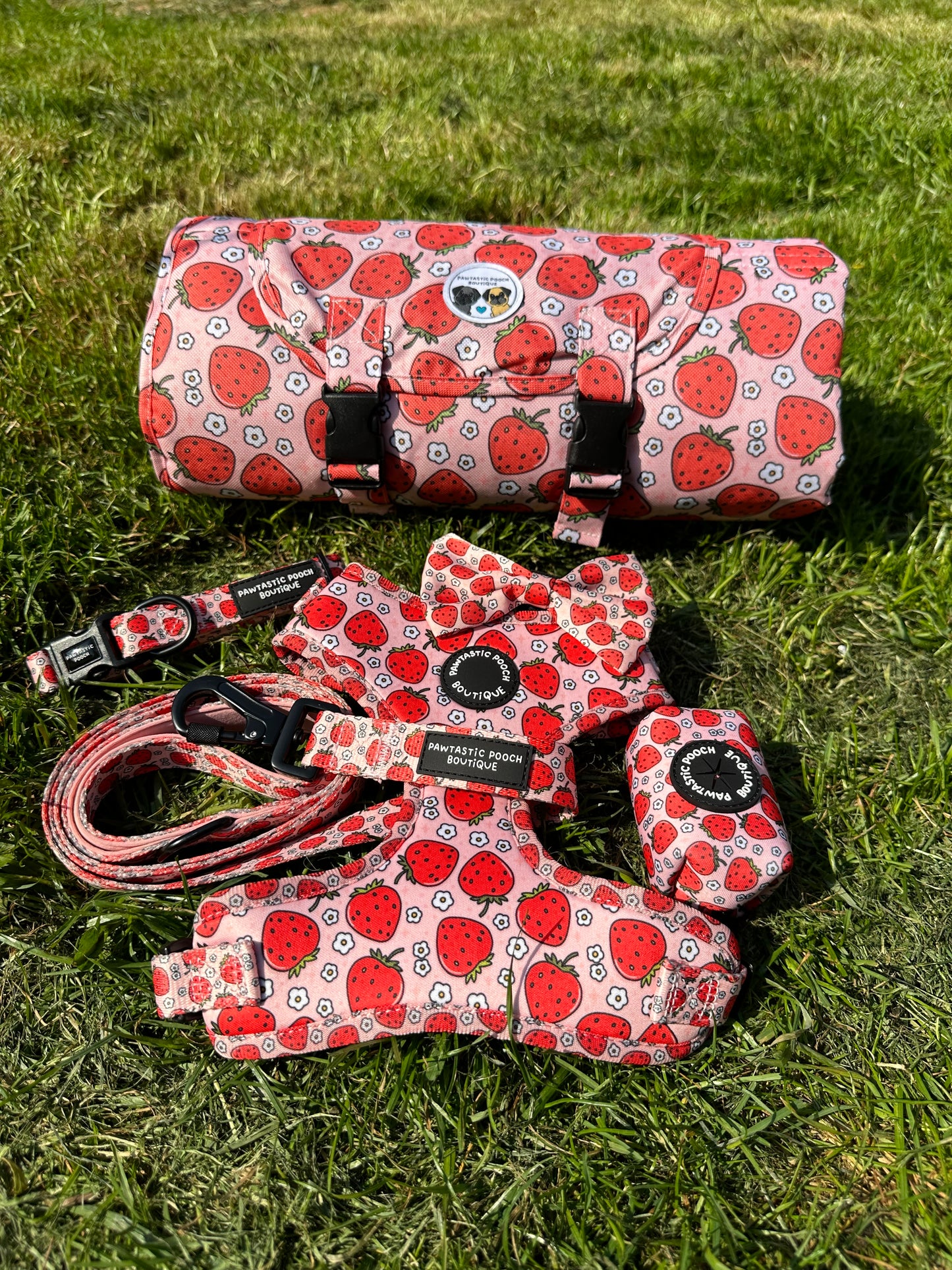 Summer Strawberries Pawtastic Travel Mats
