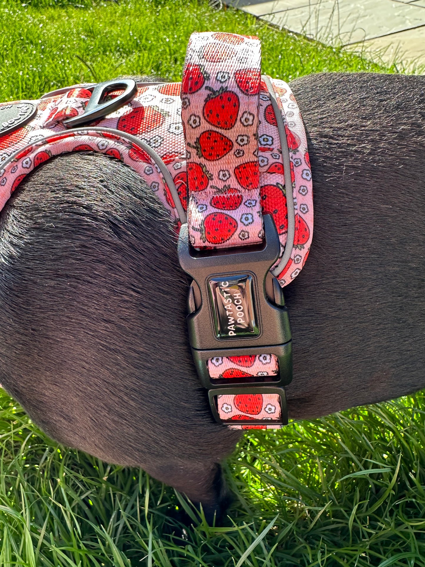 Pawtastic Tough Harness - Summer Strawberries